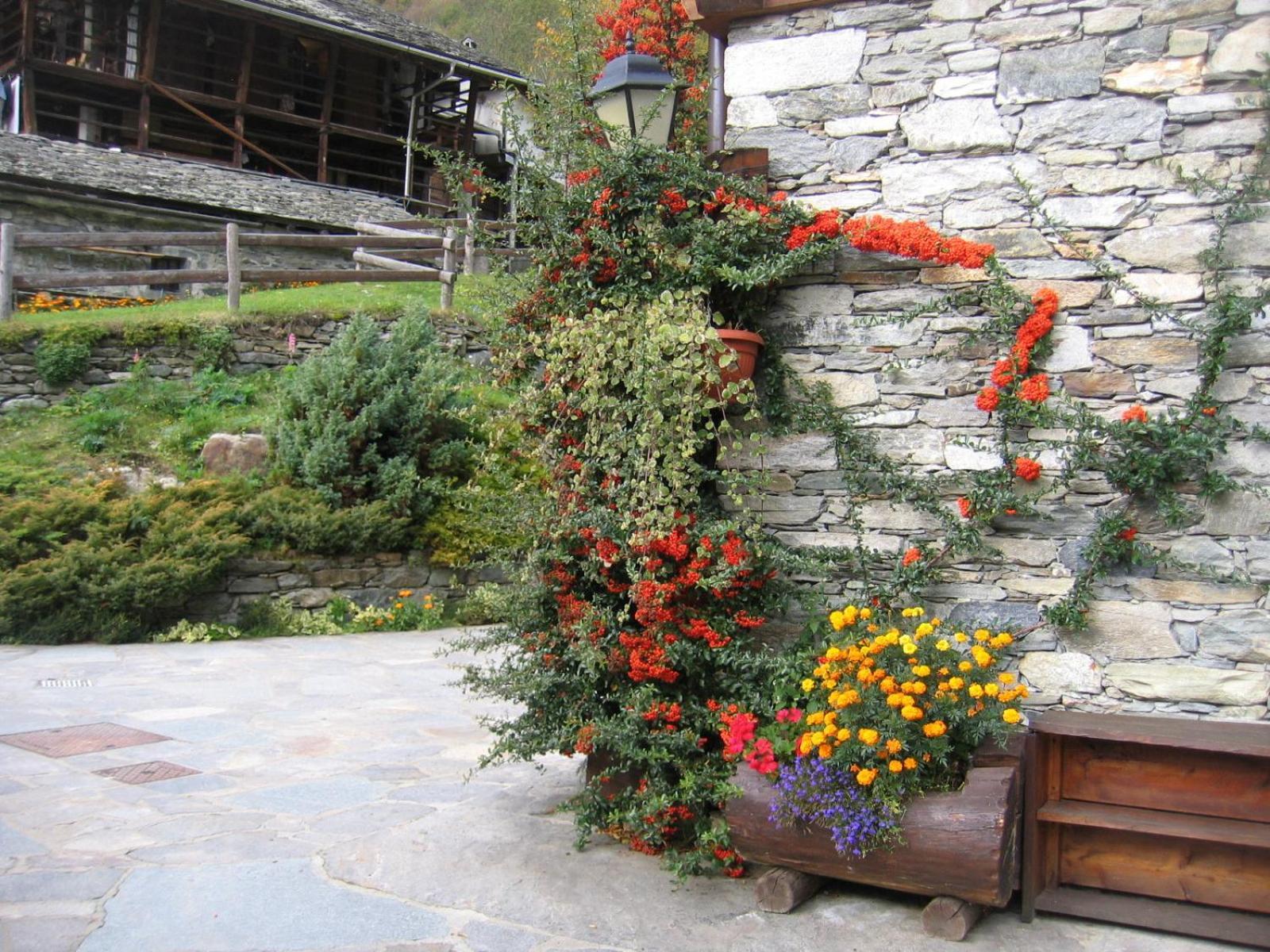 Baita Reale Alagna Valsesia Exterior photo